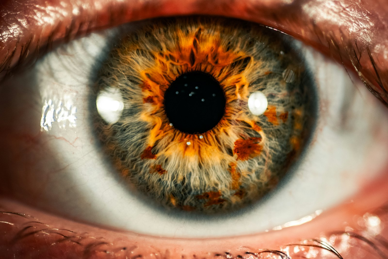 Close-up of a human eye