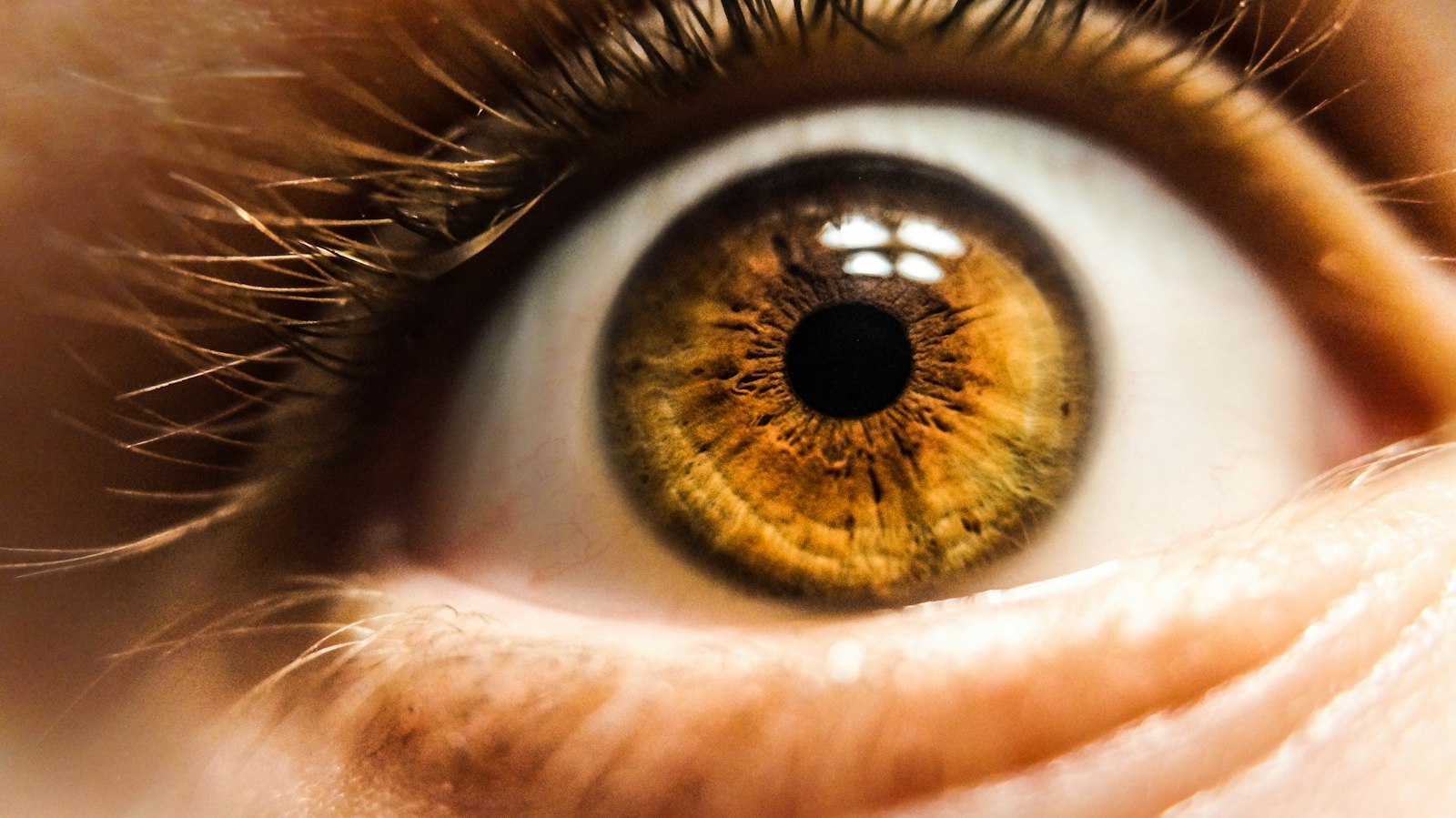 Close-up of a brown eye