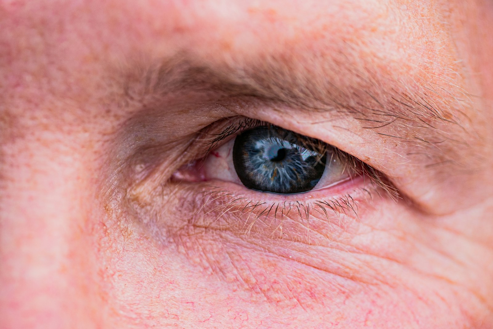 Macro photograph of an eye